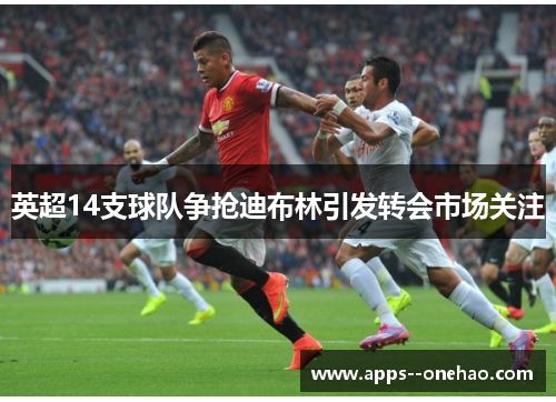 英超14支球队争抢迪布林引发转会市场关注