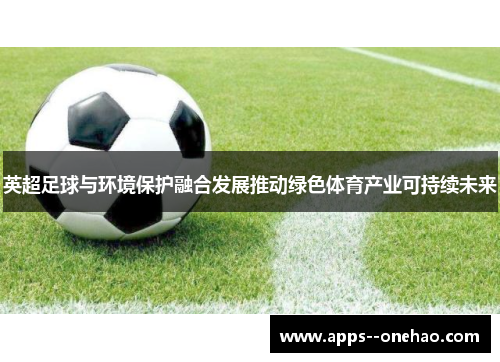 英超足球与环境保护融合发展推动绿色体育产业可持续未来