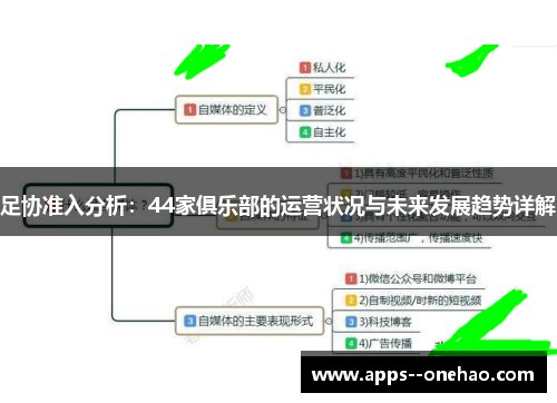 足协准入分析：44家俱乐部的运营状况与未来发展趋势详解