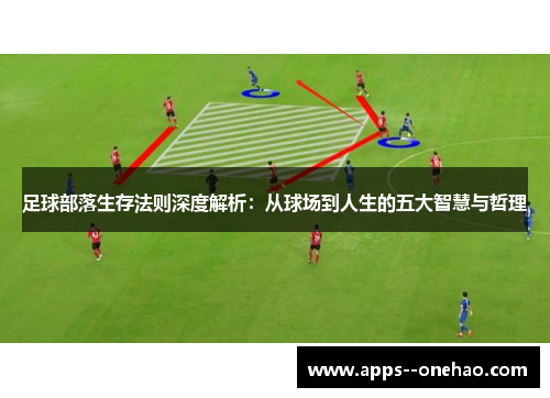 足球部落生存法则深度解析：从球场到人生的五大智慧与哲理