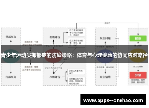 青少年运动员抑郁症的防治策略：体育与心理健康的协同应对路径